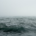 eldritch-siren avatar