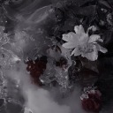 eldritch-voidspace avatar