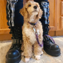 eldritchbauble avatar