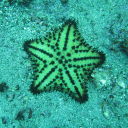 eldritchmayhem avatar