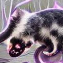 eldritchopossum avatar