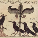 eldritchthief avatar