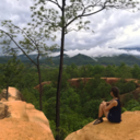 electric--bird avatar