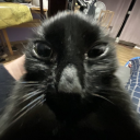 electric-dream2202 avatar