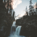 electric-pearls avatar