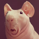 electric-rabbits avatar