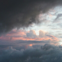 electric-sunflower avatar