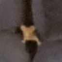 electricalstorm avatar