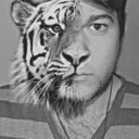 electricandy-blog avatar