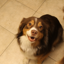 electricbaier avatar