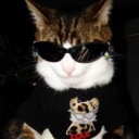 electricfroglighter avatar