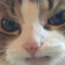 electricvomit avatar