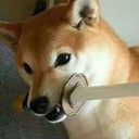 electrometro-art avatar