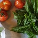 electronic-brain-vomit avatar