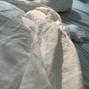 electronicbanditwolve avatar