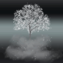 electronicchopshopmoon avatar