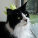 electronicflight avatar