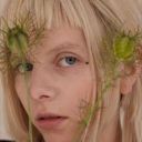 electronicgoopjudgecreator avatar