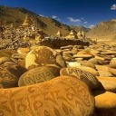 electronicsmarket1989 avatar