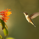 electropulses-blog avatar