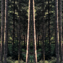 eleganceoblige avatar