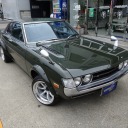 elegantstrangerjellyfish avatar