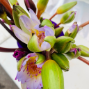 elementsofemily1193 avatar