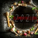 elementvision avatar