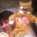 elenabera-blog avatar