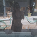 elenagilbert-12 avatar