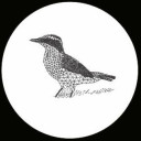 elephant--eyelash avatar