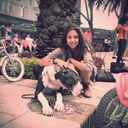 elephant-soul avatar