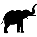 elephants-and-paradise avatar