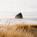 elephantsamour avatar