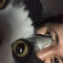 elevatoretiquette avatar