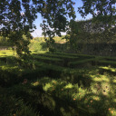 elevencupsofcoffee avatar