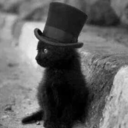 elgatonegro117 avatar