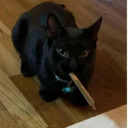 elias-bouchards-period-cramps avatar