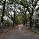 elifiinguncesii avatar