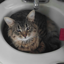 elijahbleucasey avatar