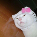 eline-dildeaux avatar