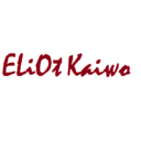 eliotkaiwo-blog avatar