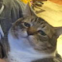 elite-extremophile avatar