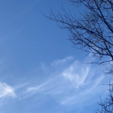 elizabeth-57s avatar