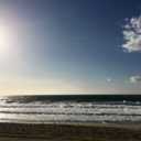 elizabeth-m-koes avatar