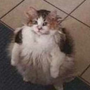 elizabeth-s-n-blog avatar