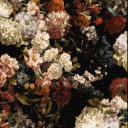 elizabeth1701 avatar