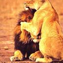 elizabethdarciee avatar