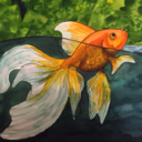 elizabethgasse avatar