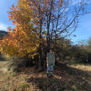 elizabethmasen avatar